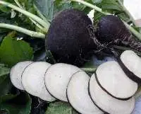 Radish Black