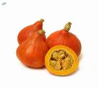 Red Hokkaido Squash