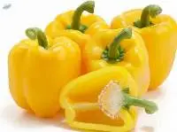 Yellow Pepper