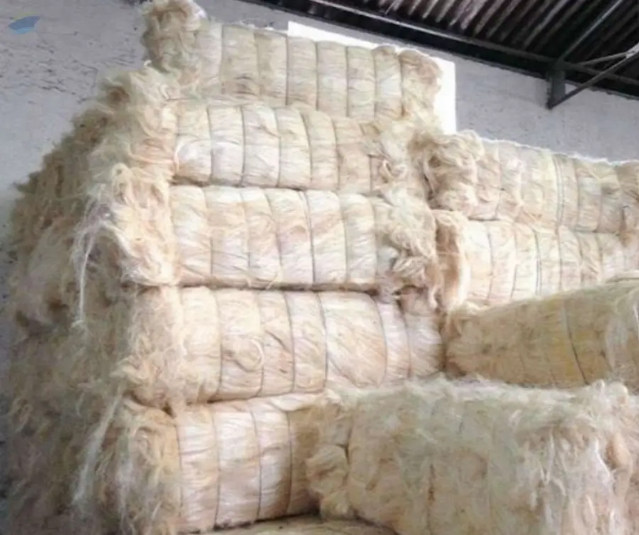Sisal Fiber