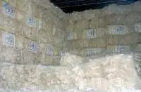 Sisal Fiber