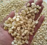 Tope Grade White Corn / Maize