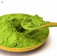  Matcha Tea