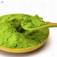 Wholesale Free Sample Matcha