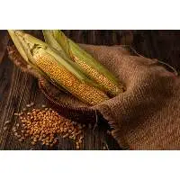 Yellow Corn