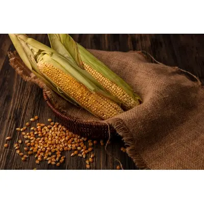 Yellow Corn
