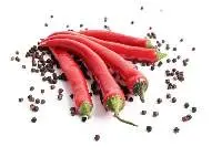Red Chilli