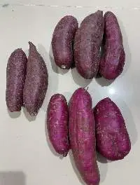 Purple Sweet Potatoes