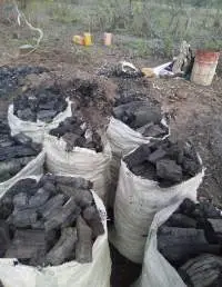 Quebracho Charcoal