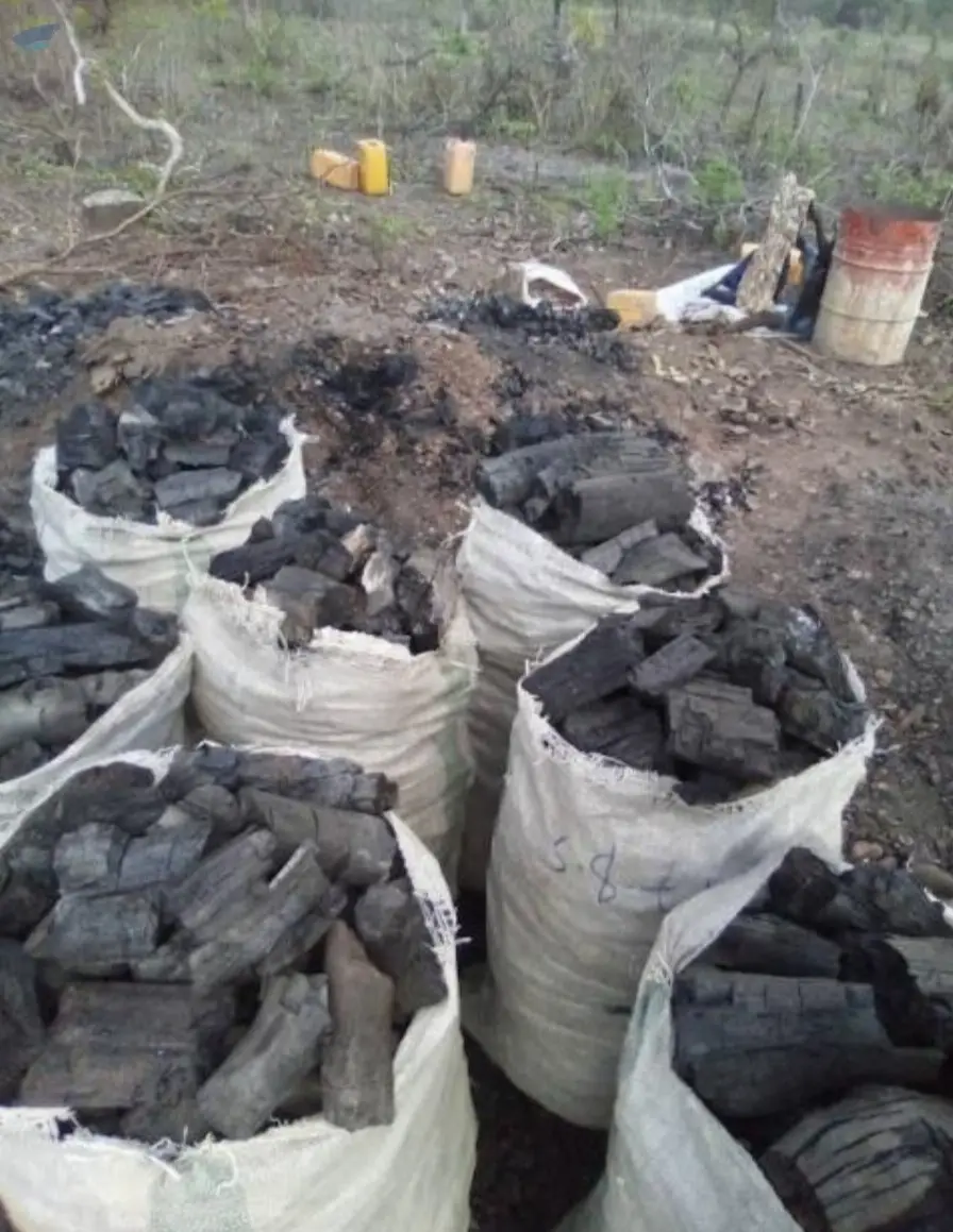 Quebracho Charcoal