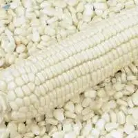White Maize