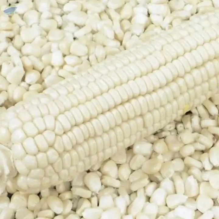 White Maize
