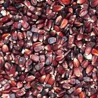 Red Maize/Corn