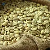 Arabica Coffee