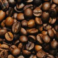 Robusta Coffee