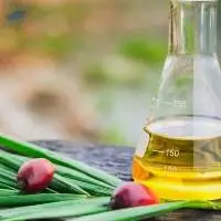 Crude Palm Kernel Oil (cpko)