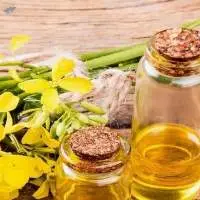 Refined Bleached Deodorized (rbd) Canola Oil