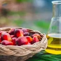 Refined Bleached Deodorized  Palm Kernel Oil