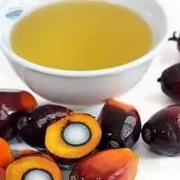 Refined Bleached Deodorized (rbd) Palm Oil