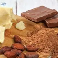 Cocoa Butter Substitute (cbs)