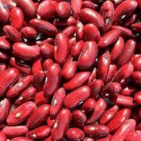 Red Kideny Beans