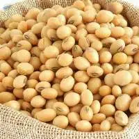 Soya Beans/Soybeans