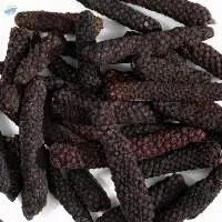 Long Pepper