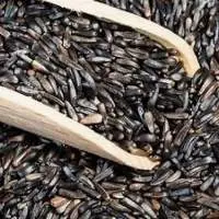 Niger Seed