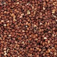 Reddish Sesame Seed
