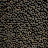 Vetch Seed (Chilban)