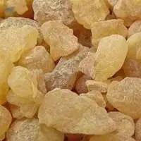 Whitesh Gums