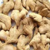 Dry Ginger