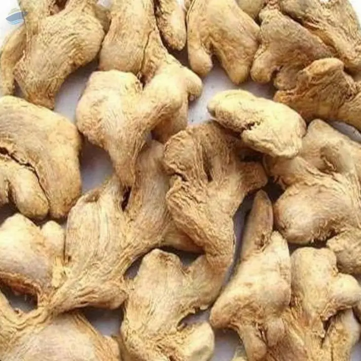 Dry Ginger