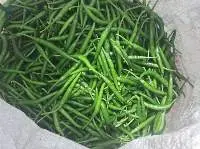 Fresh Green Chilly
