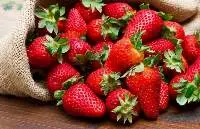 Fresh Strawberries