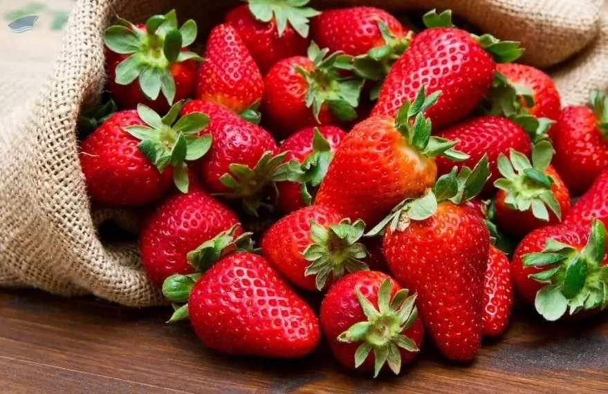Fresh Strawberries