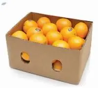 Fresh Oranges