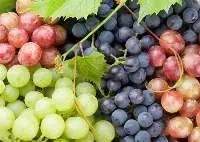 Fresh Grapes