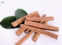 Cinnamon