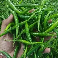 Green Chilli