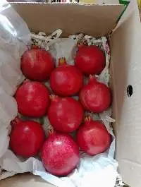 Pomegranate
