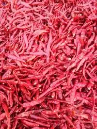 Teja S17 Red Chilli