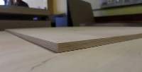 Birch plywood 1525x3050 FSF