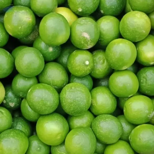 Fresh Lemon