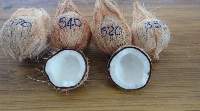 Coconut