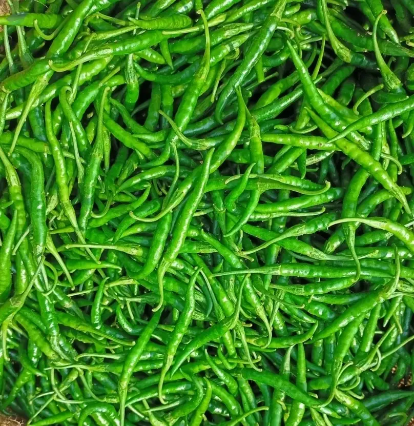 Green Chili