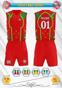 Jersey 41