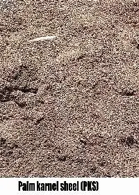 Palm Kernel Shell