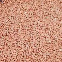 Groundnut Kernel