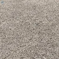 Palm Kernel